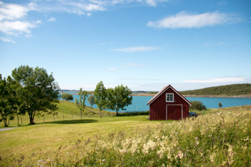 Foto: Sommerlandskap med et lite rødt hus på en eng med vann i bakgrunnen