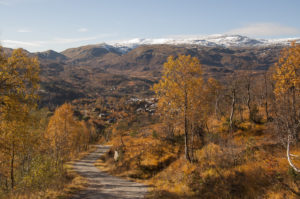 Foto: Høst i fjellet, høstfarger og hyttegrend med nysnø på toppene