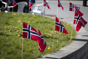 Foto: Mange norske småflagg som står i gresset i en rabatt